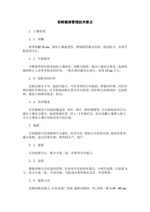 杏树栽培管理技术要点