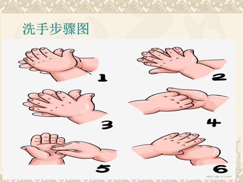 人教版八年级生物第四章第二节细菌 (2)