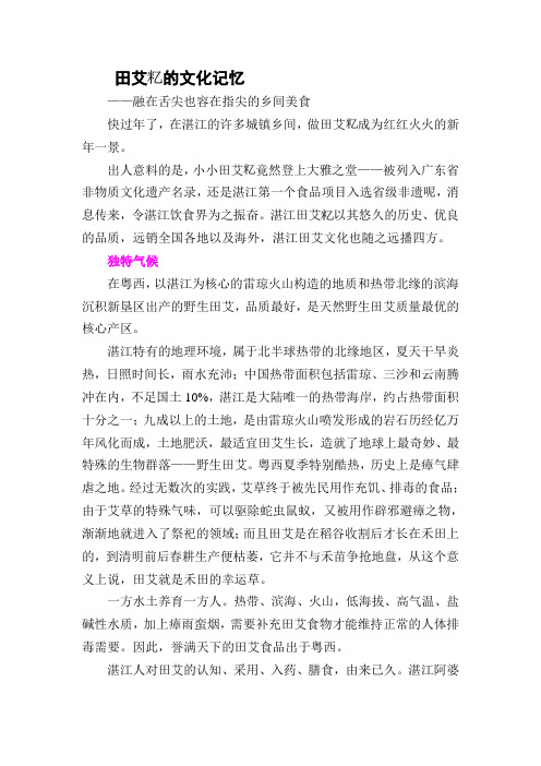 田艾的文化记忆