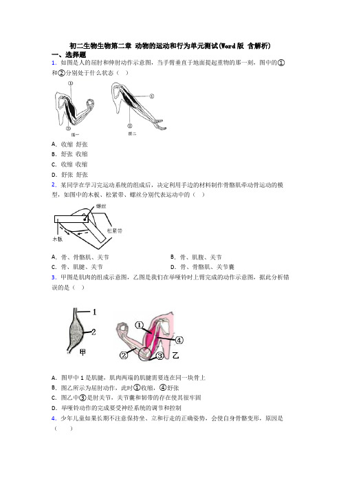初二生物生物第二章 动物的运动和行为单元测试(Word版 含解析)