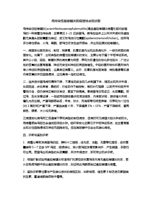 鸡传染性脑脊髓炎的病理特点和诊断