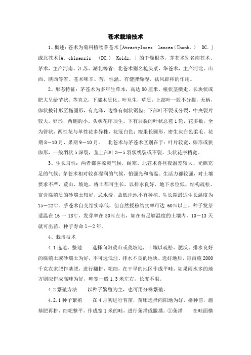 苍术栽培技1
