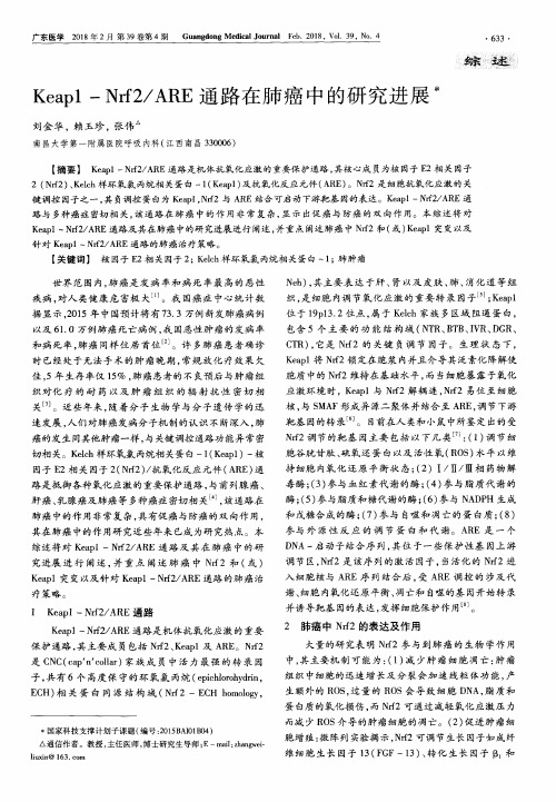 Keap1-Nrf2／ARE通路在肺癌中的研究进展