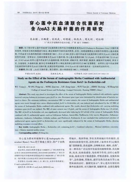 穿心莲中药血清联合抗菌药对含fosA3大肠杆菌的作用研究
