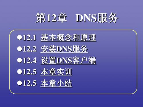 设置DNS客户端