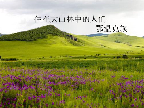 鄂温克族精品PPT课件