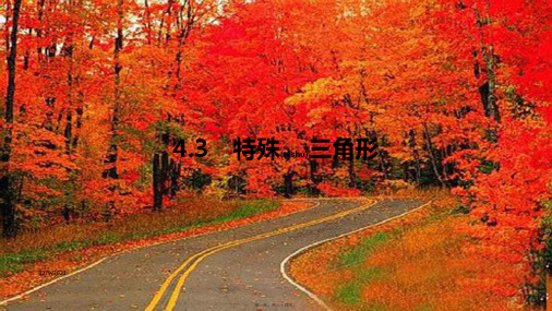 中考数学一轮复习 第二讲 空间与图形 第四章 三角形 4.3 特殊三角形课件