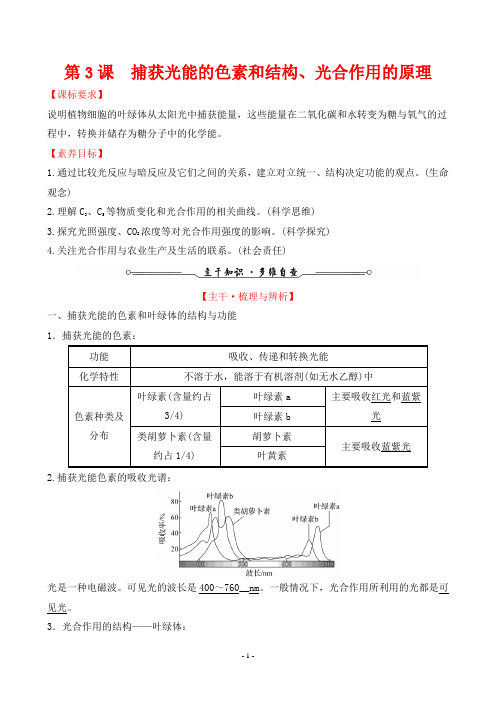 2022年人教版生物高考总复习第一部分考点复习指导第三单元第3课捕获光能的色素和结构、光合作用的原理