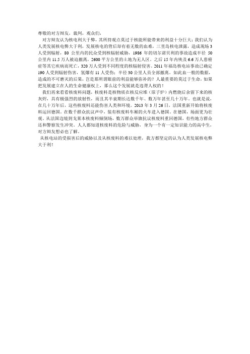 核能 能源 辩论 陈词