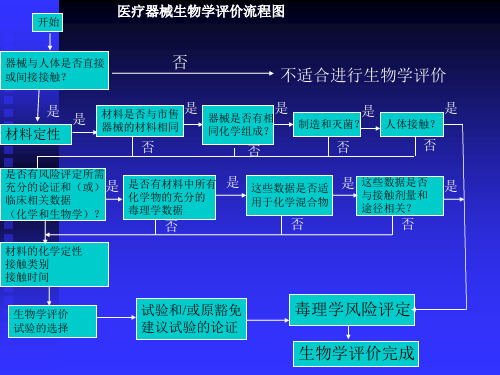 医疗器械工程导论4细胞毒性评价