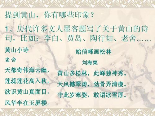 16黄山奇松