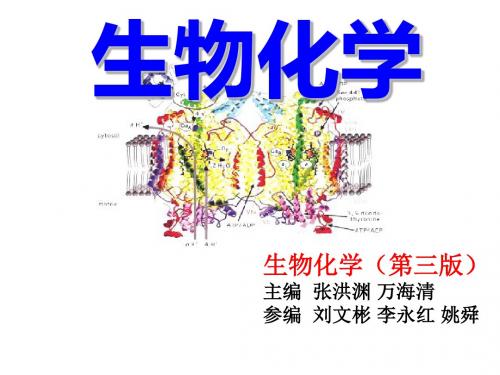 第四章蛋白质化学