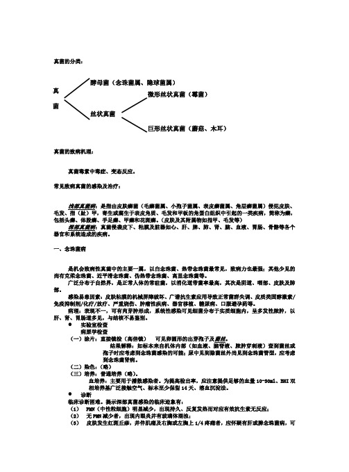 真菌的分类