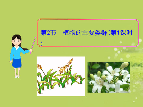 八年级生物下册第22章_第2节_植物的主要类群(第1课时)北师大版PPT课件