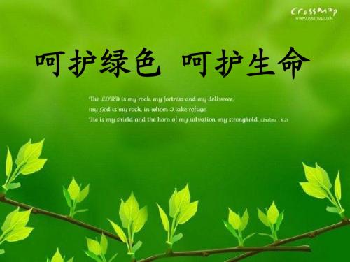 呵护绿色_呵护生命ppt