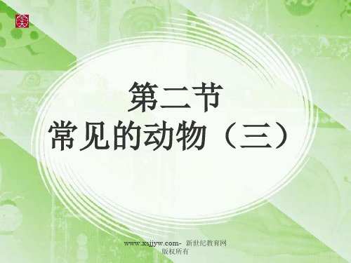 常见的动物(浙江省杭州市西湖区)
