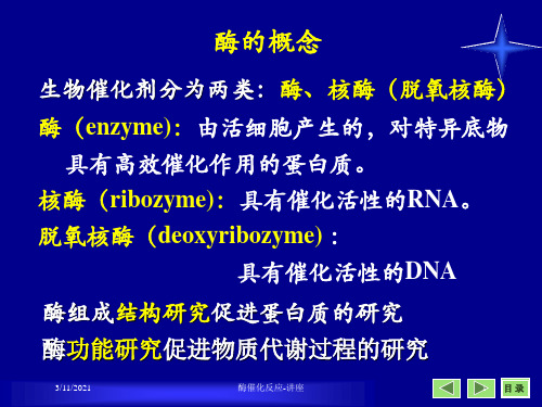 酶催化反应-讲座培训课件