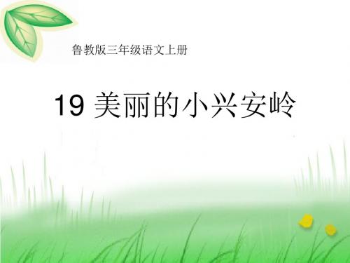 《美丽的小兴安岭》优选公开课件4