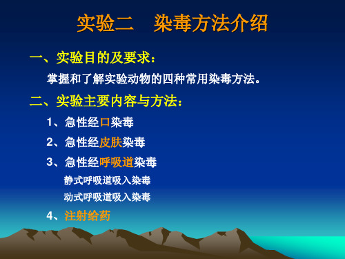 实验2染毒方法介绍