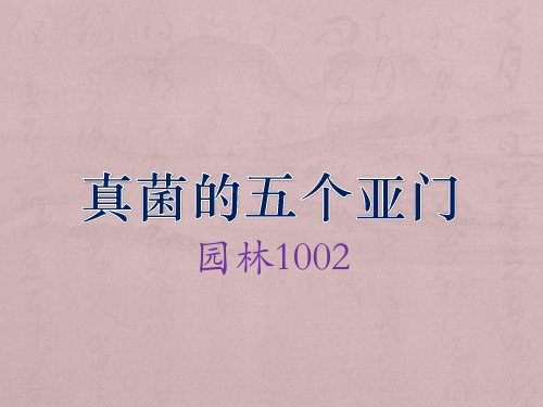 真菌的五个亚门