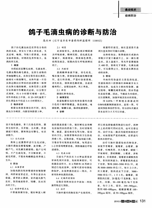 鸽子毛滴虫病的诊断与防治