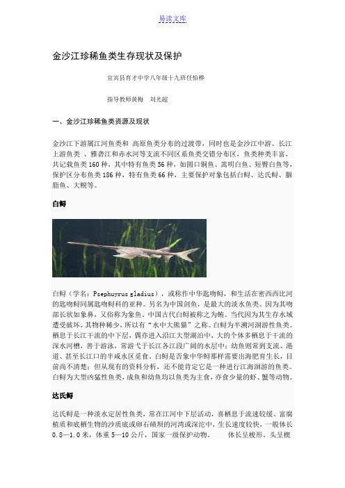 金沙江鱼类现状、保护