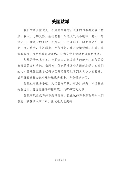 美丽盐城_六年级作文_13