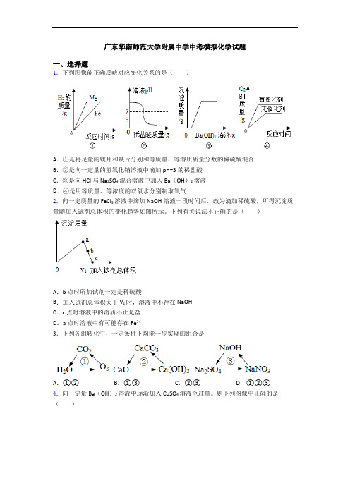 广东华南师范大学附属中学中考模拟化学试题