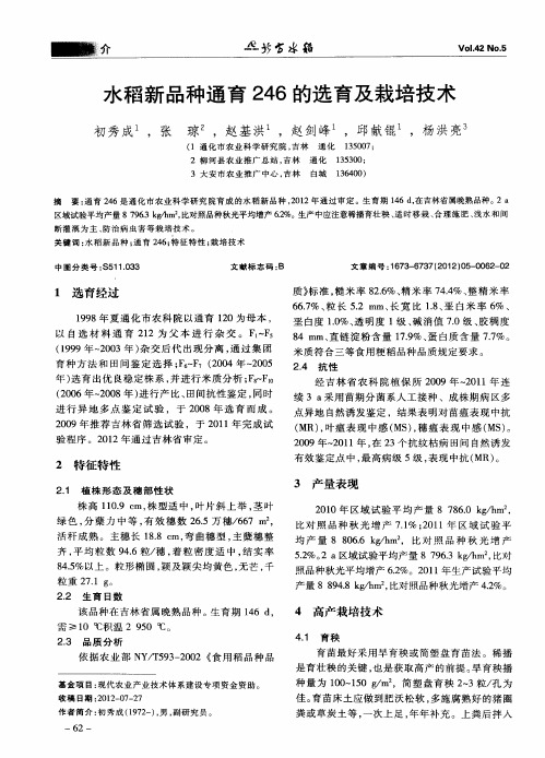 水稻新品种通育246的选育及栽培技术