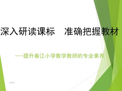 数学新课标解读  ppt课件