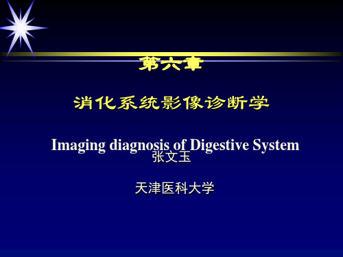 医学影像学 结肠影像学