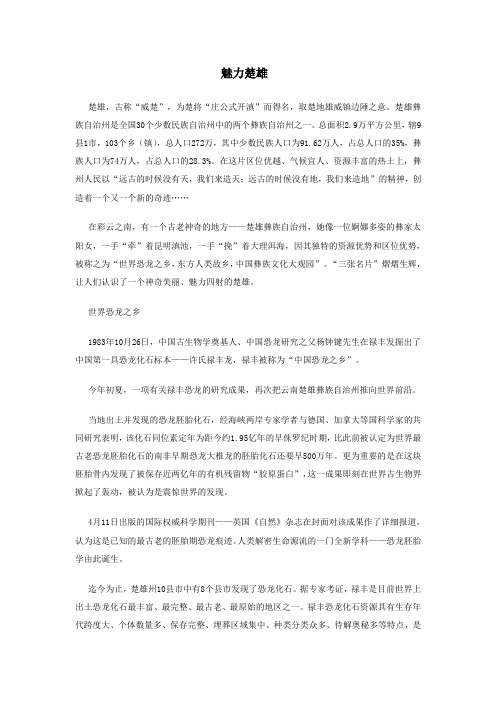 魅力楚雄