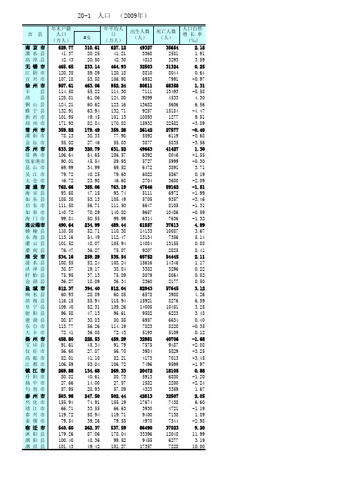 2010年统计年鉴之市县经济