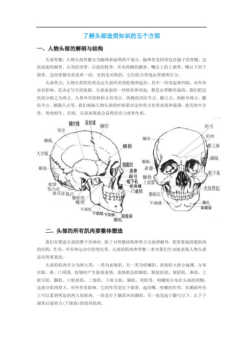 了解头部造型知识的五个方面