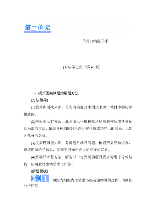 2019年高考生物一轮复习单元归纳：必修1 第二单元 细胞的基本结构与物质输入和输出模式图类试题的解题方法