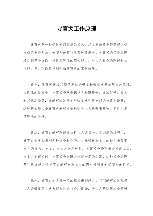 导盲犬工作原理