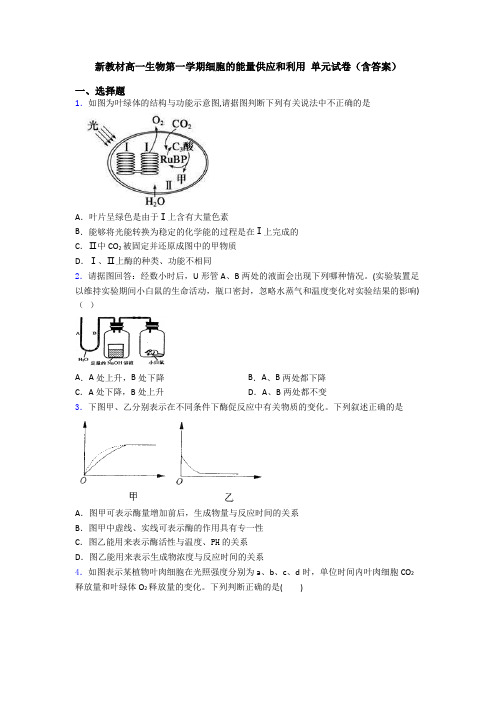 新教材高一生物第一学期细胞的能量供应和利用 单元试卷(含答案)