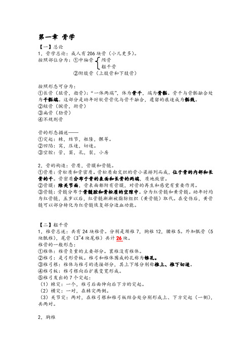 系统解剖学 运动系统 骨学