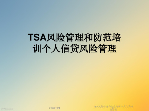 TSA风险管理和防范培训个人信贷风险管理