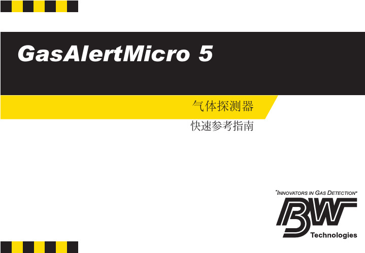 GasAlertMicro5 空气检测仪说明书