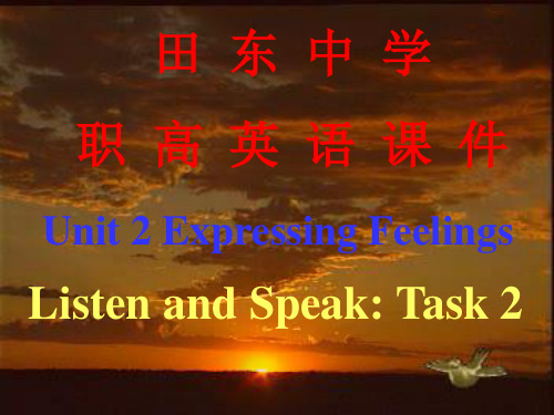 Unit_2_Expressing_Feelings优秀版