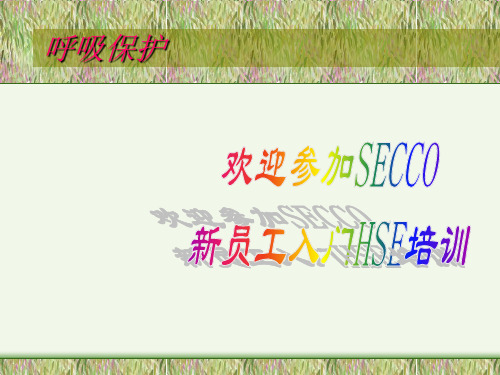 respiratory protection呼吸保护