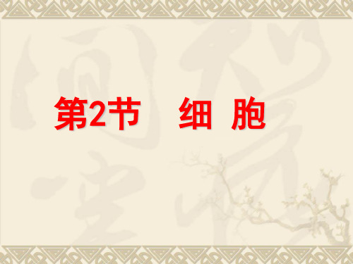 (浙教版)七年级上册科学2.2细胞(31张ppt)