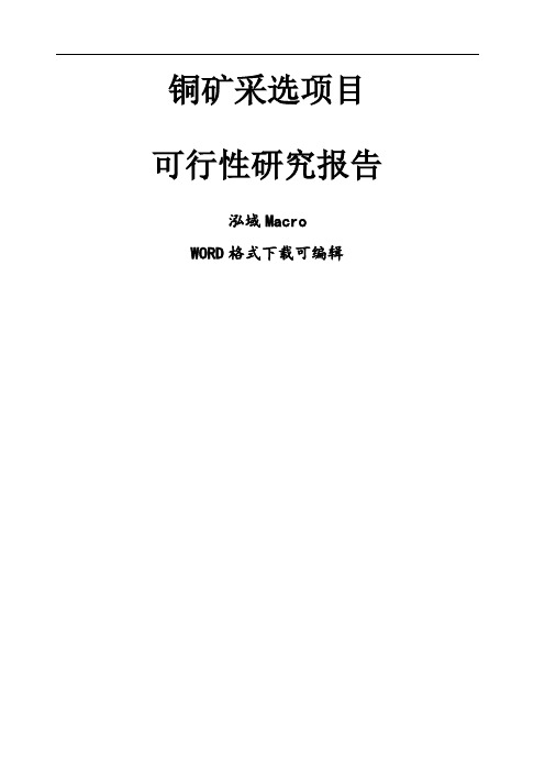 铜矿采选项目可行性研究报告