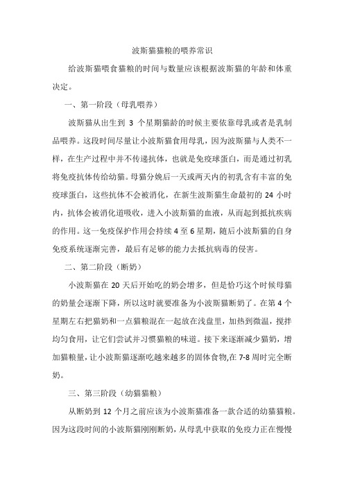 波斯猫猫粮