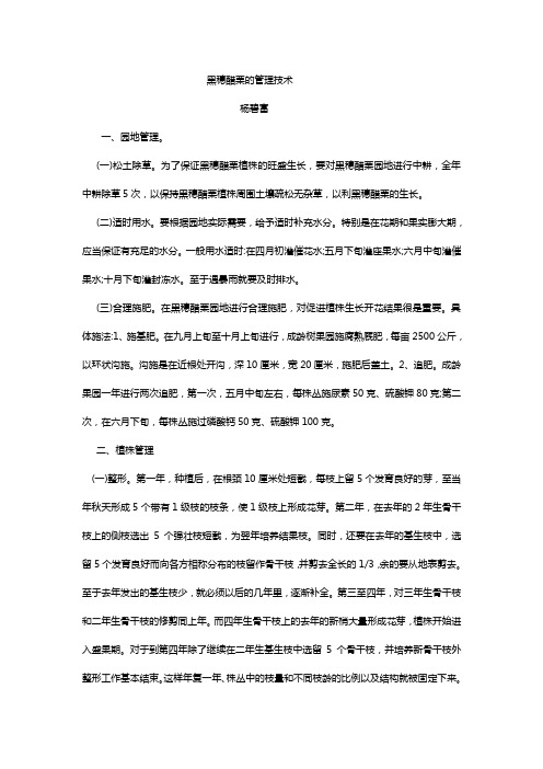 黑穗醋栗的管理技术