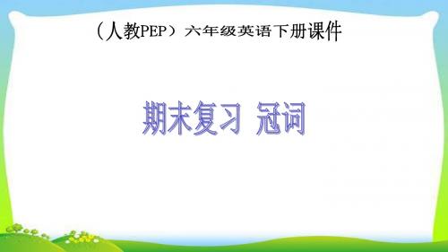 人教PEP六年级英语下册期末复习冠词优质