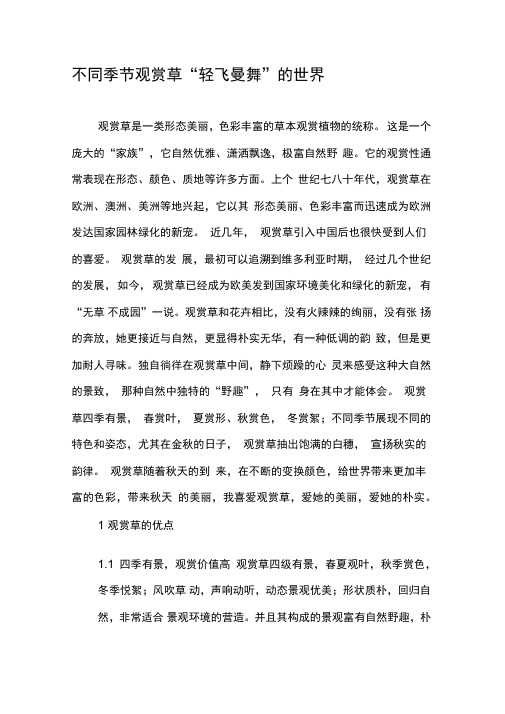 不同季节观赏草“轻飞曼舞”的世界