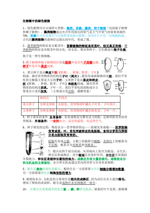 2021人教版生物第三单元生物圈中的绿色植物知识点总结