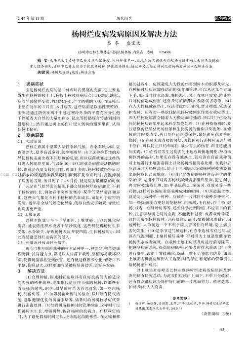 杨树烂皮病发病原因及解决方法